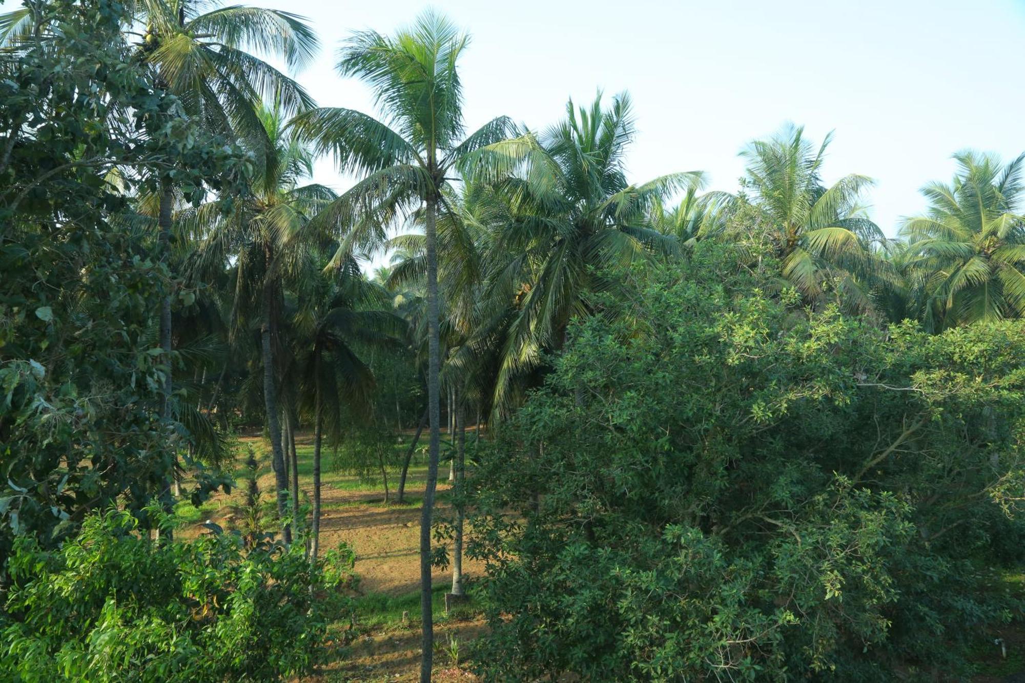 Misty Ocean - A Bergamont Group Of Hotel Kuilapalayam Eksteriør bilde